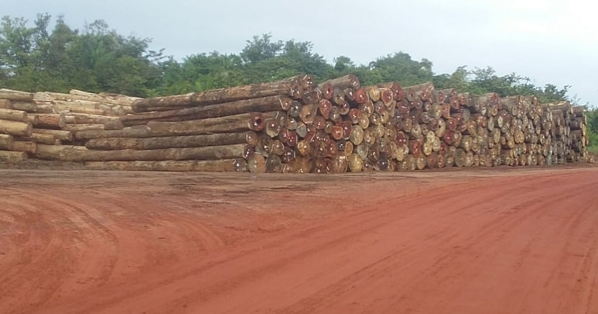 bosbedekking suriname ministerie ruimtelijke ordening SBB