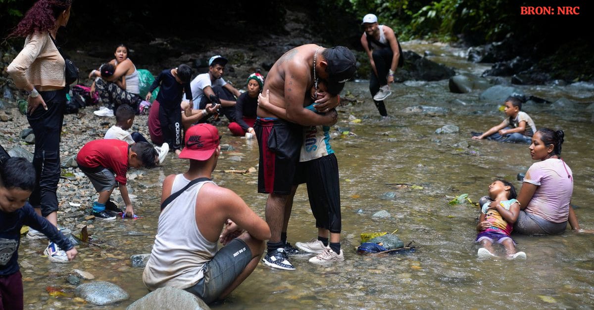 Gedeporteerde migranten uit de VS overgebracht naar junglegebied in Panama