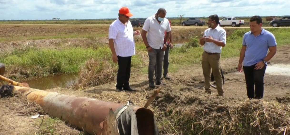 rijstboeren suriname aanpassen klimaat