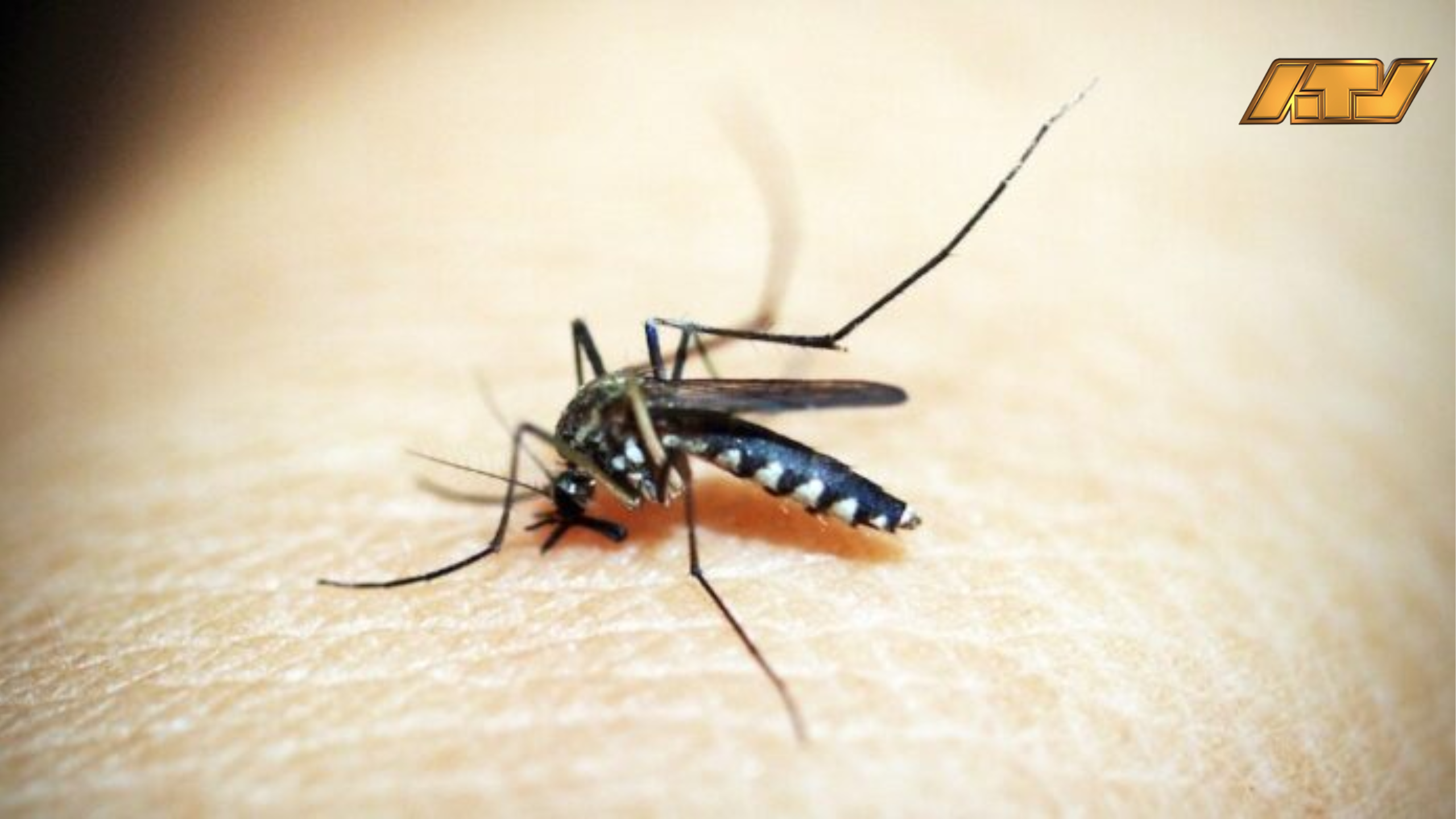 Suriname maatregelen malaria