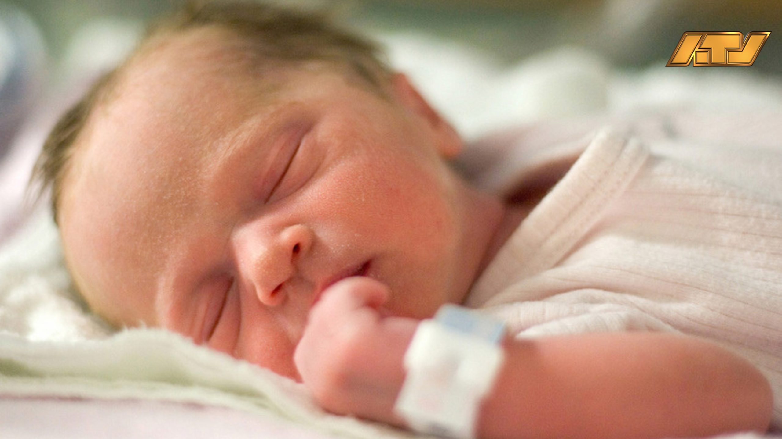 baby's geboren met drie-oudertechniek