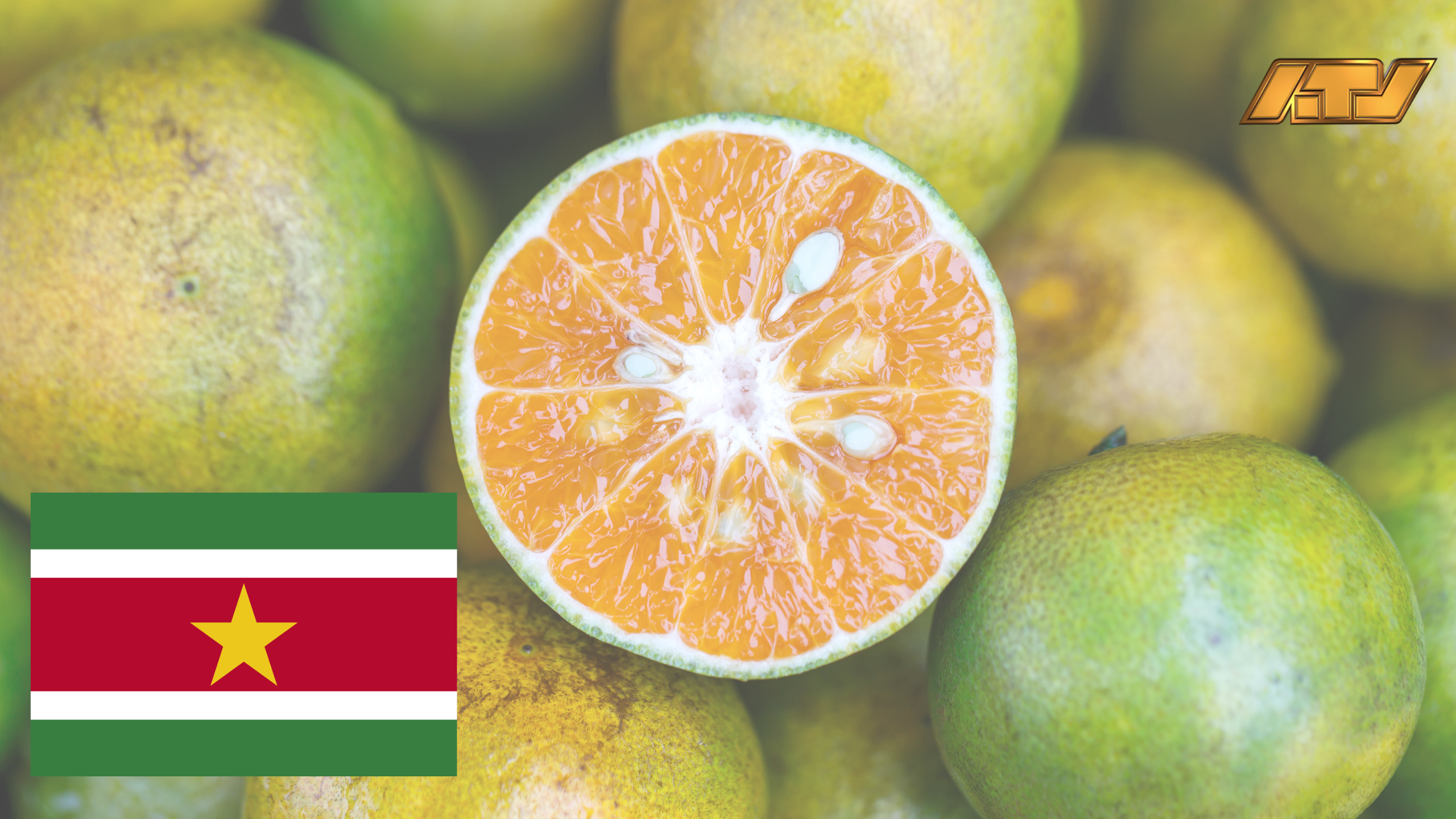 Onderzoek toont belang aan van verpakking bij koelopslag sinaasappels in Suriname