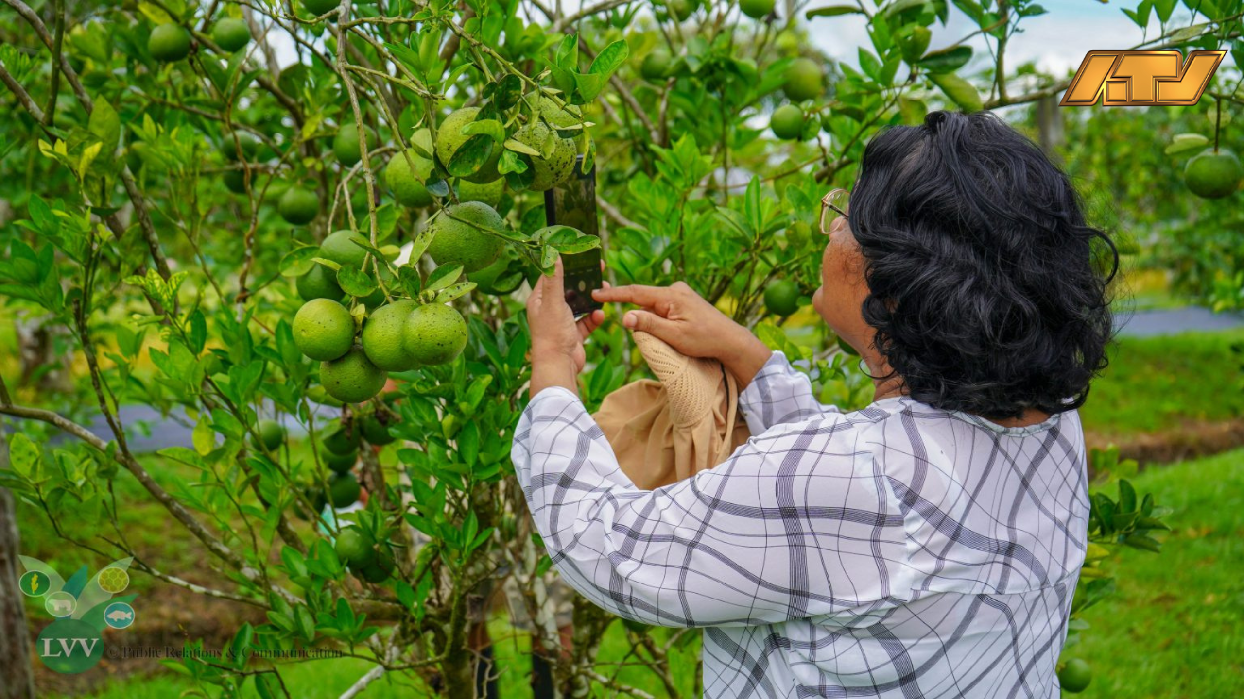 LVV versterkt citruskennis met vierdaagse training in Saramacca